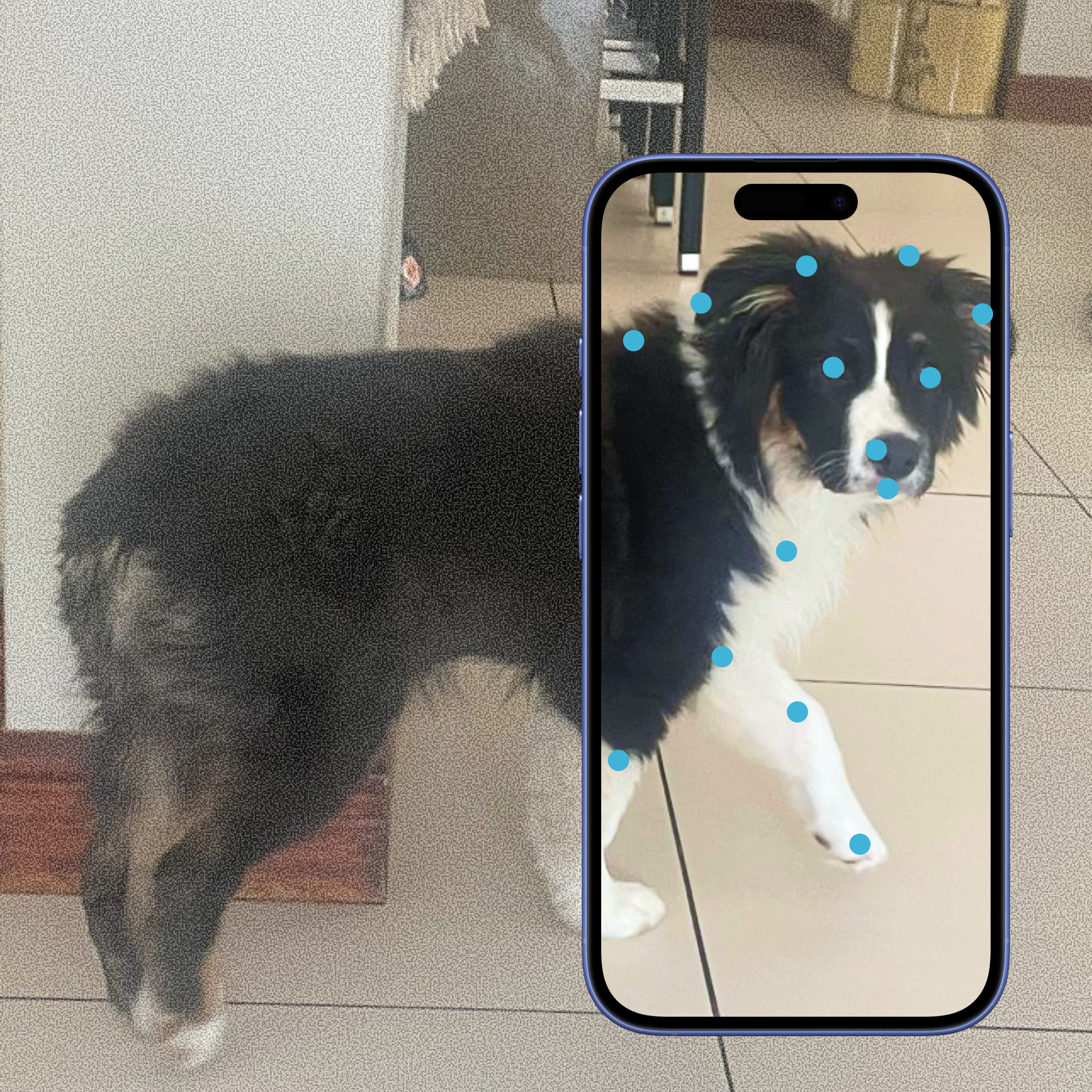 Easily capture images