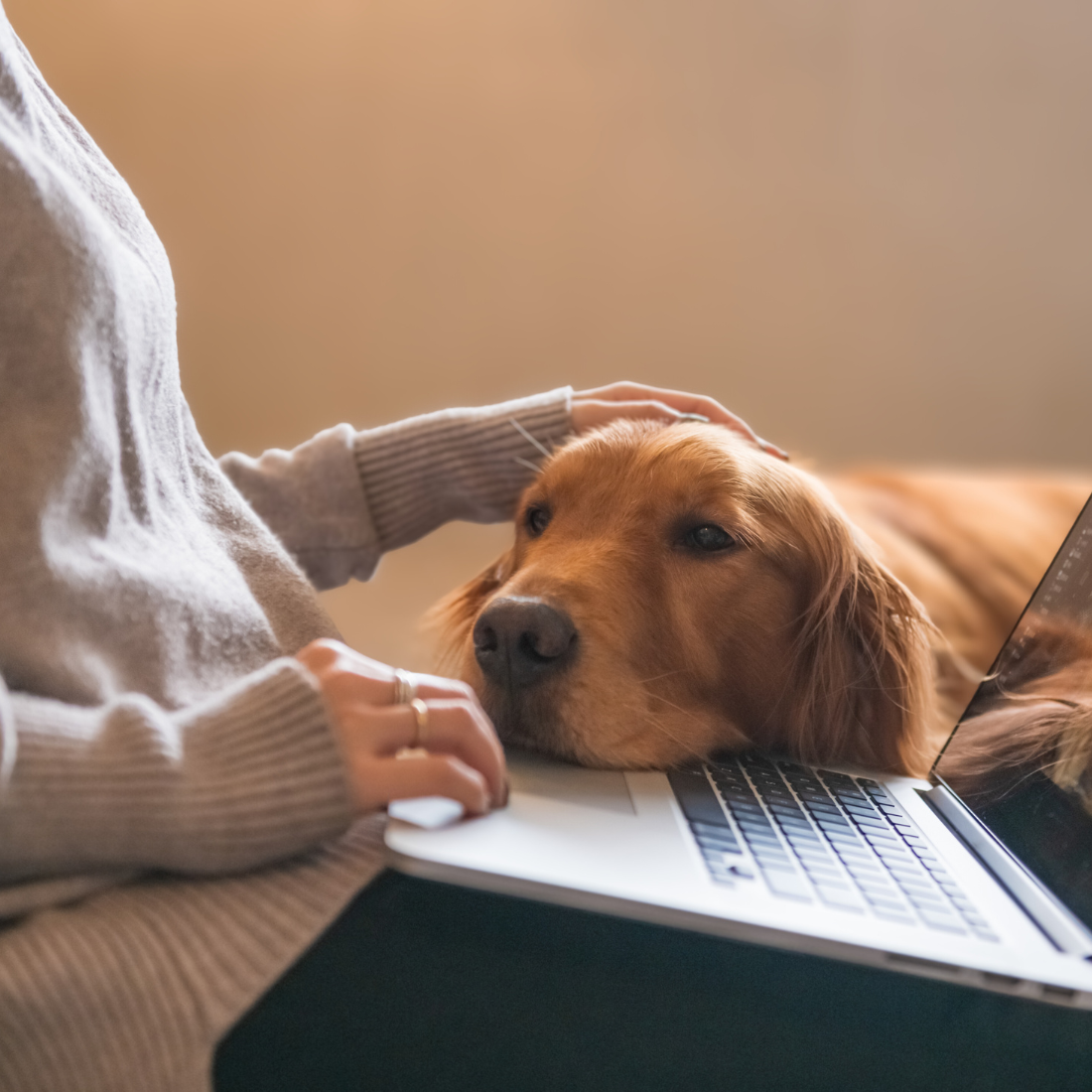 Actionable insights from customers