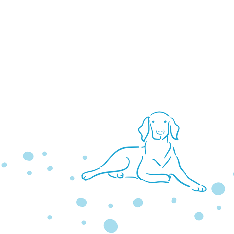 From Generic Tracking to Personalised Health Coaching