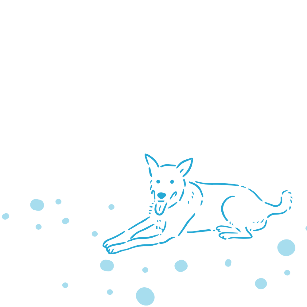 Powerful Solutions for Enterprise