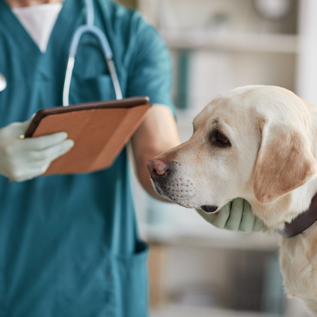 AI powered by the latest medical science