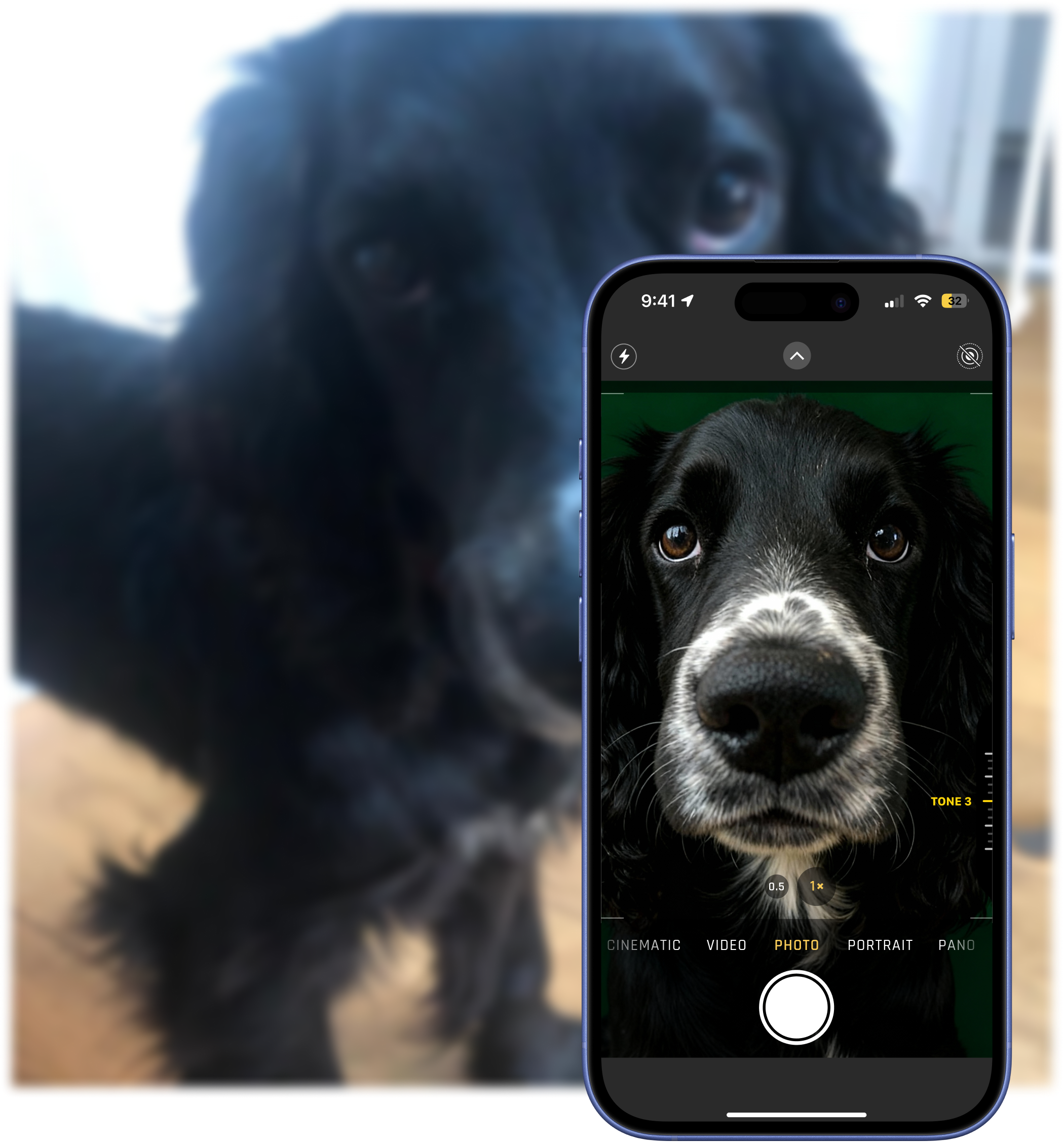 From Messy Phone Photos to Professional Pet Portraits