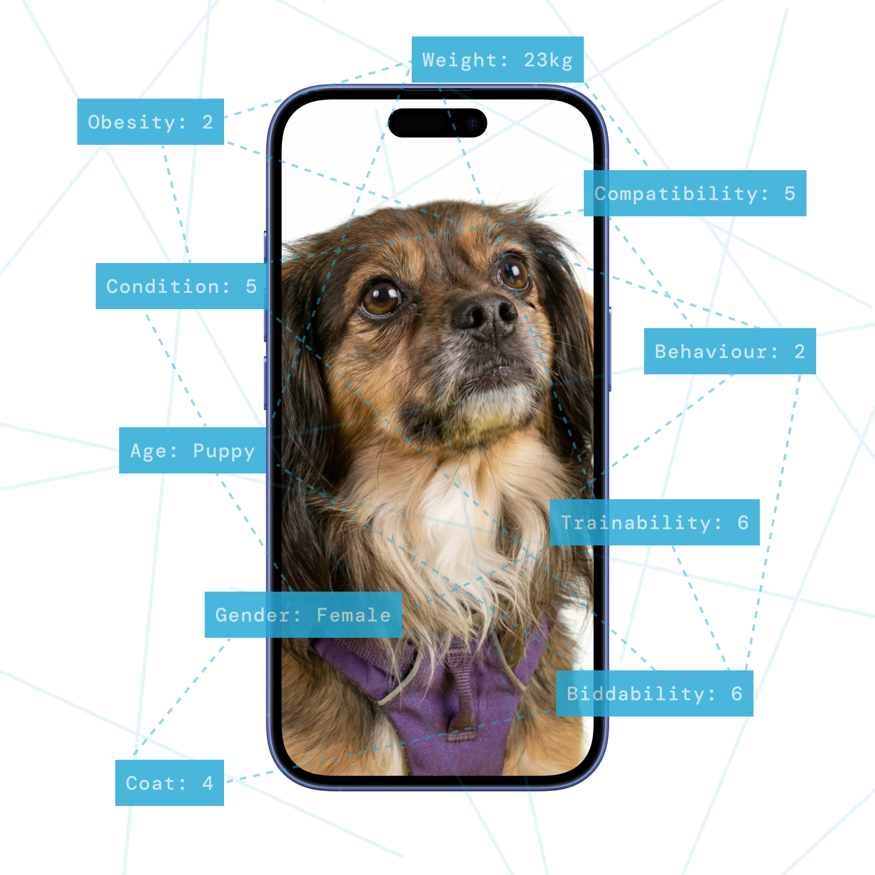 Personalised premiums beyond generic breed data. Assess your customer’s pet’s actual condition before you quote. 
