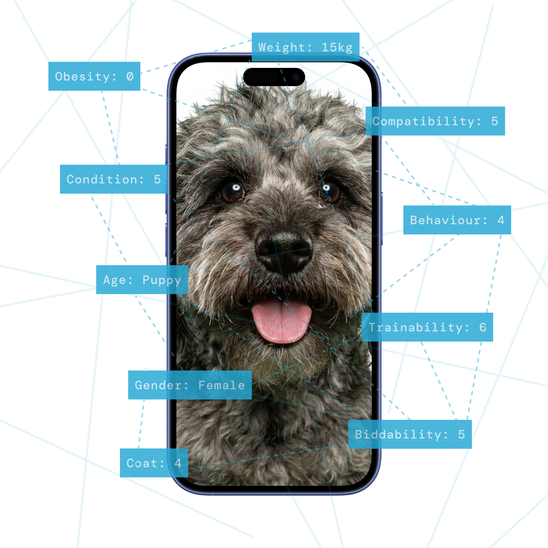 Deepening experiences and value for your customers.