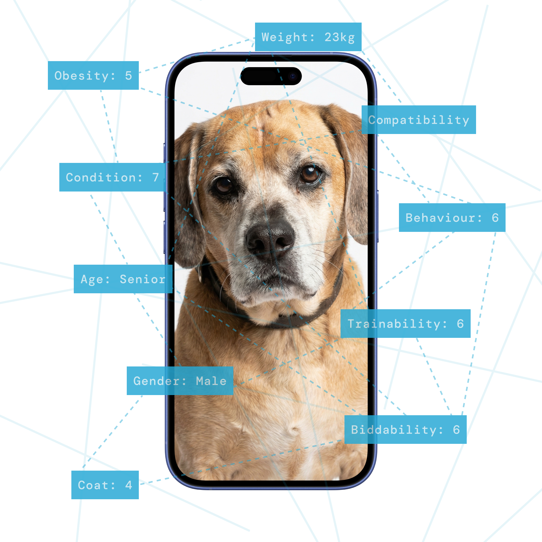 An image & video analysis agent programmed by hundreds of vets, giving you new insight into your customers’ pets.